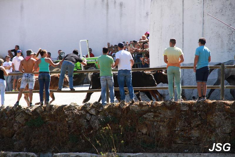 Aldeia Velha 2015 11.jpg